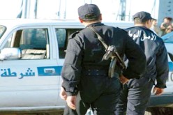 اكتشاف أشجار القنب الهندي‮ ‬بشوارع العلمة وسطيف‮ ‬