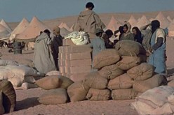 125 ألف لاجئ صحراوي بتيندوف يستفيد من مساعدة بـ 32.5 مليون دولار