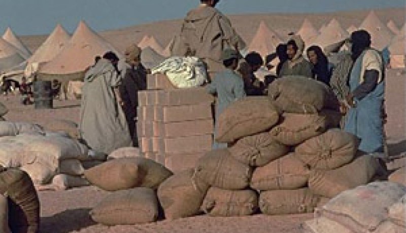 125 ألف لاجئ صحراوي بتيندوف يستفيد من مساعدة بـ 32.5 مليون دولار