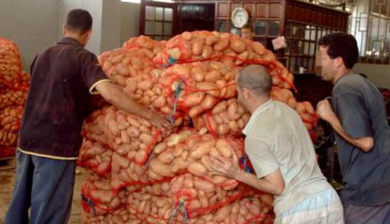 10.415 طن من البطاطا المخزنة بولاية عين الدفلى تنزل للسوق