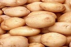 تصاعد كبير في أسعار رغم وفرة الإنتاج ببومرداس