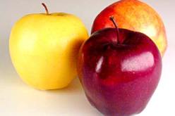 أكل التفاح بانتظام يمنع الإصابة بسرطان القولون و المستقيم