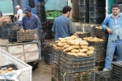 اختفاء 2300 طن من البطاطا من مركب التبريد بقورصو