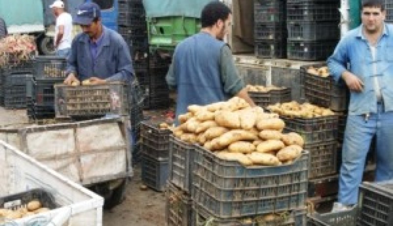 اختفاء 2300 طن من البطاطا من مركب التبريد بقورصو