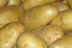 وزارة الفلاحة:الجزائريون أكلوا بطاطا فاسدة موجهة للخنازير