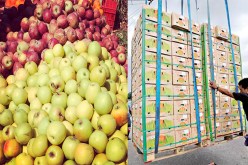 الحكومة تجمد رخص 65 مستوردا للتفاح والموز