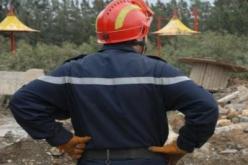 نحو فتح أكثر من 160 ورشة تدخل بالمناطق الغابية في الشلف