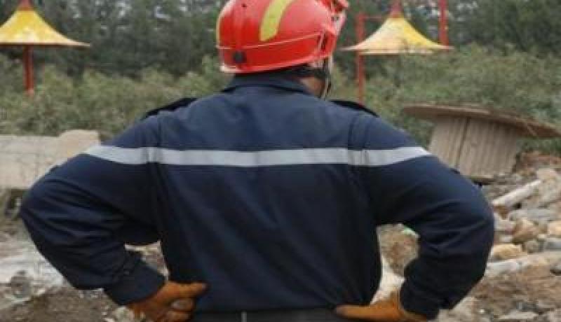 نحو فتح أكثر من 160 ورشة تدخل بالمناطق الغابية في الشلف