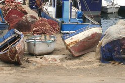 أشغال تهيئة ميناء الصيد البحري للمرسى (الشلف) تشرف على نهايتها