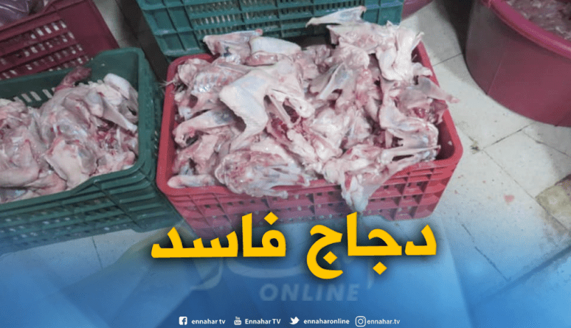 حجز أكثر من قنطار من الدجاج الفاسد كان معروض للبيع بسكيكدة
