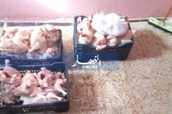 ضبط قنطارين ونصف من اللحوم البيضاء الفاسدة بتيسمسيلت