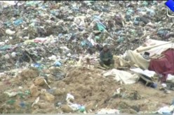 حينما تصبح القمامة رزق للعائلات…