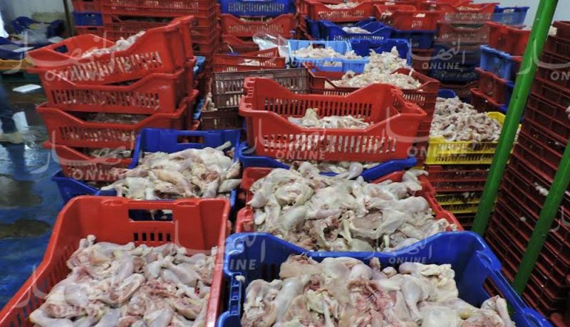 العثور على مذبح غير شرعي وحجز 285 كلغ من اللحوم البيضاء الفاسدة بتيبازة