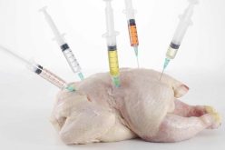 فضيحة “المضادات الحيوية” تروّع أسواق الدجاج بالعالم