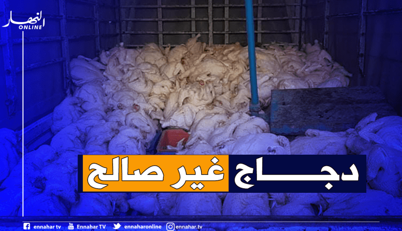 بجاية: حجز 56 قنطارا من الدجاج غير صالح للإستهلاك