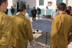 “النهار” تزور سجن البرواڤية بالمدية وتتحدث على النزلاء:سجناء يستفيدون من مبلغ 3 آلاف دج شهريا مقابل خدماتهم وآخرون يمولون سجن الحراش والبويرة بالخضر والفواكه وحديث عن “العفو الرئاسي” وترشح بوتفليقة لعهدة ثالثة