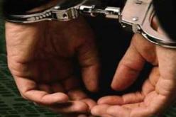 التحقيق مع رعاة متهمين بدعم الإرهاب بوادي‮ ‬الشولي‮ ‬في‮ ‬تلمسان‮ ‬