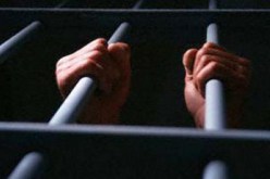 3 سنوات حبسا لقاتل شخص خطأ مع الفرار بالوادي