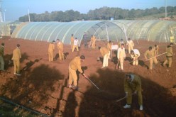 سجين نابغة بمعسكر ألف كتابا في الرياضيات تلقت الوزارة الوصية نسخة منه