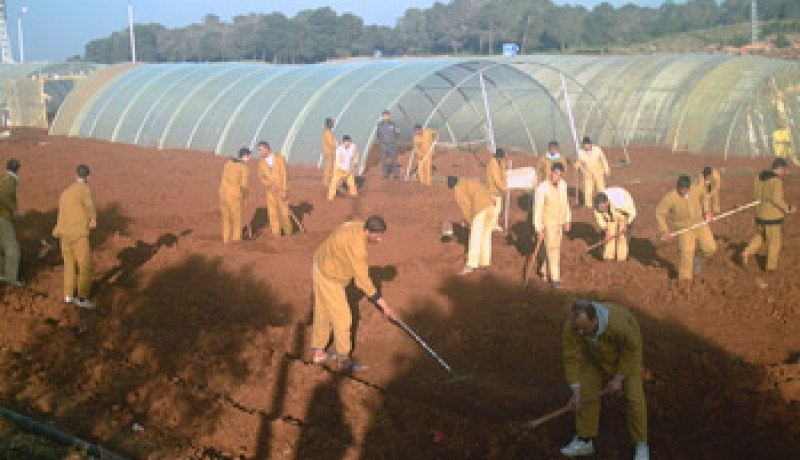 سجين نابغة بمعسكر ألف كتابا في الرياضيات تلقت الوزارة الوصية نسخة منه