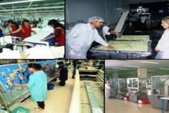 استثمارات تقارب 10 مليار دج لفائدة قطاع التكوين والتعليم المهنيين بعنابة