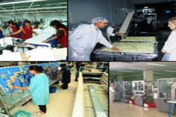 توفير أكثر من ستة آلاف منصب بيداغوجي بوهران