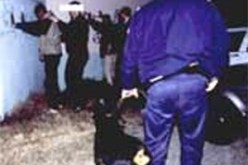 الأمن يداهم فيلا بحي لاسيليس ويوقف 14 فردا : شرطيان ضمن أخطر شبكة دعارة بورقلة