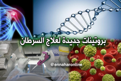 إكتشاف بروتين لعلاج السرطان والكسور