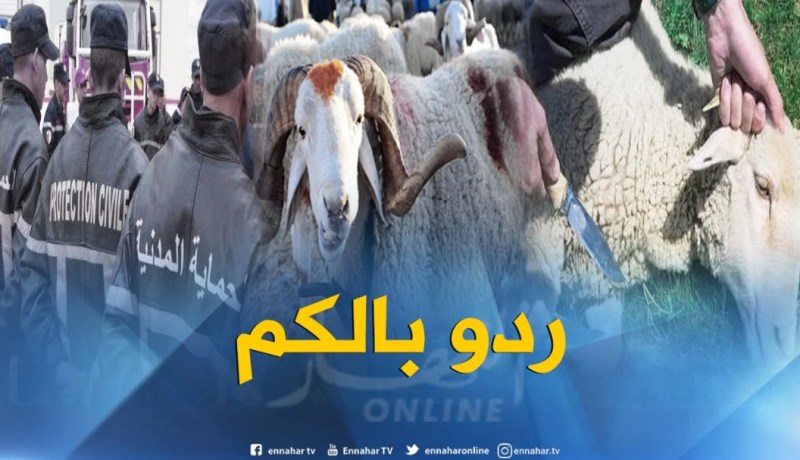 الحماية المدنية تدعو المواطنين للحذر في استعمال أدوات الأضحية