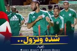 بالفيديو.. بلقبلة يوجه رسالة للجزائريين