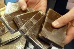 حجز قنطارين من الكيف في برج الأمير خالد بعين الدفلى