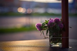 كيف أحصل على حياة الطمأنينة والهدوء؟