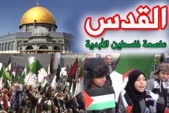 بالفيديو.. الشعب الجزائري مع فلسطين ظالمة أو مظلومة