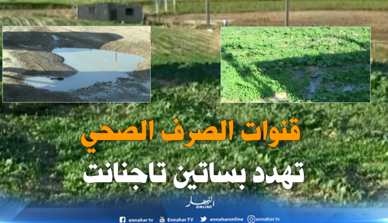 ميلة: بساتين فلاحية تتسرب إليها قنوات الصرف الصحي بتاجنانت..