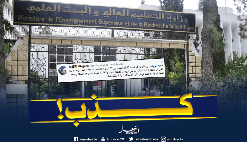 وزارة التعليم العالي..لا يوجد عطلة صيفية إجبارية مسبقة في الجامعات