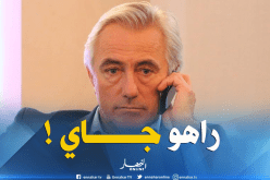 الصحافة الهولندية.. “مارفيك” يبحث عن مُساعدين لقيادة الخضر !!