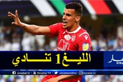 عريبي يتجه للإحتراف في فرنسا