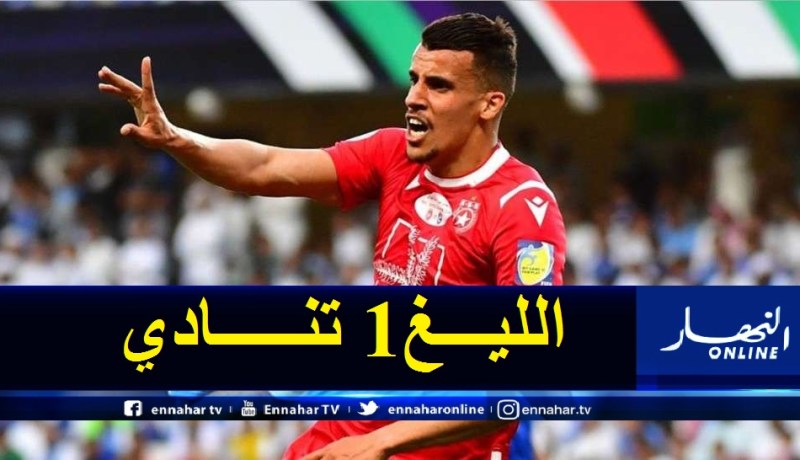 عريبي يتجه للإحتراف في فرنسا