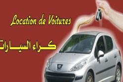 عجـــوز وابنتهـــا ضمـــن شبكـــة تسطـــو علــى سيــارات مؤجــرة وتعيد بيعها