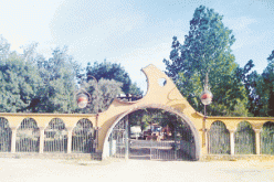 كارثة إيكولوجية بحديقة الحيوانات برابطية القالة الطارف