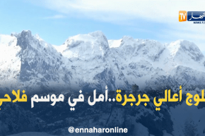 جزائريون: ثلوج أعالي جرجرة.. أمل في موسم فلاحي وفير