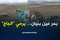 عين بنيان مدينة العجائب