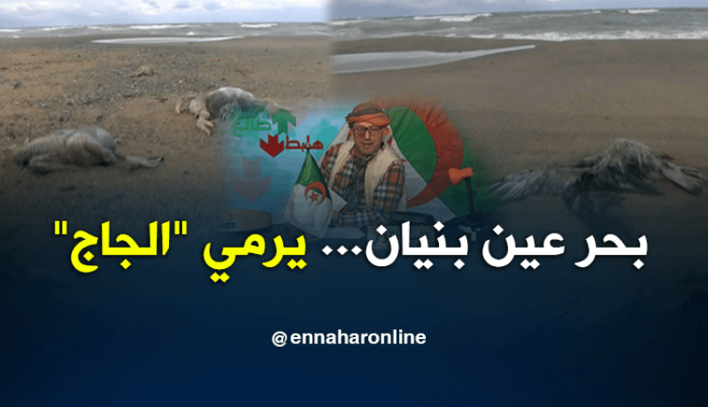 عين بنيان مدينة العجائب