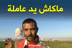 نقص اليد العاملة بحقول البطاطا بغليزان