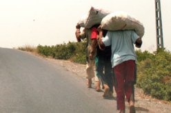 جمع الخبز اليابس مهنة احترفتها البراءة لضمان لقمة العيش