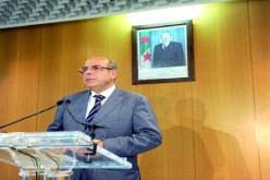 إقترحت إنشاء وزارة مكلّفة بالرياضة ومجلس وطني‮ ‬للشباب‮‬