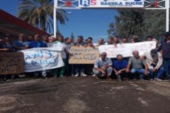 عمــال مصنــع تكريــر السكــر ينظمــون مسيرة لأكثر مـــن 20 كلم فــي عين الدفلـــى