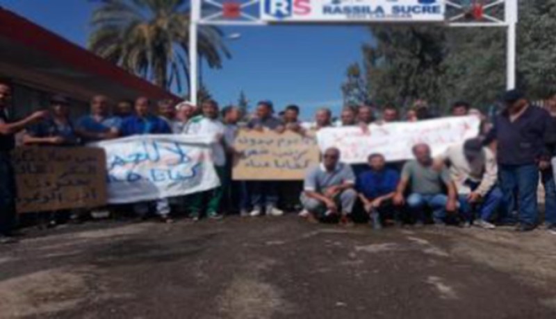 عمــال مصنــع تكريــر السكــر ينظمــون مسيرة لأكثر مـــن 20 كلم فــي عين الدفلـــى