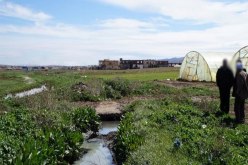 تلمسان.. توقيف 5 أشخاص بتهمة سقي محاصيل زراعية بالمياه القذرة