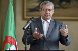 حسن رابحي : الدولة عازمة على مرافقة المؤسسات التي ملاكها في السجن